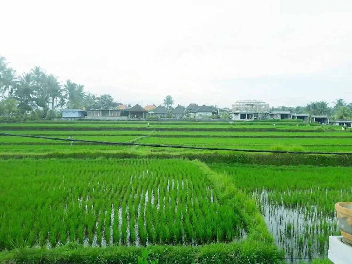 Tantra House Ubud Guest house